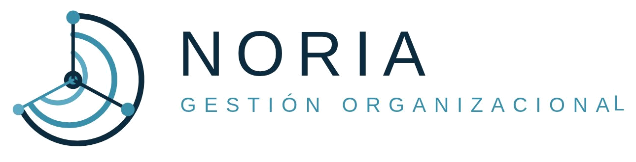 NORIA Gestión Organizacional